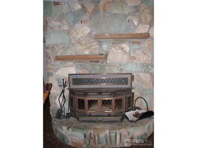 Wood Burning Fireplace with Insert