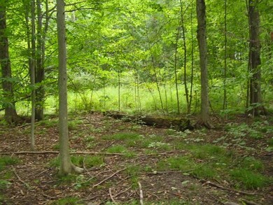 Property View #2