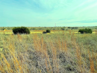 2245 County Road 619, Pottsville, TX 76565 - photo 5