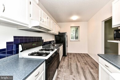 11831 Shire Ct unit 1A, Reston, VA 20191 - photo 5