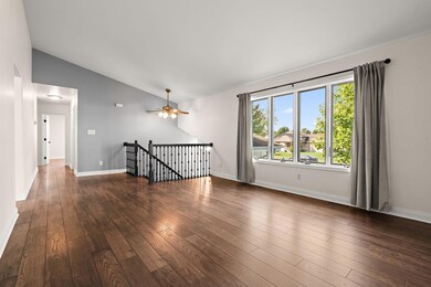 5-web-or-mls-DSC07269