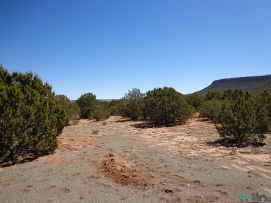Tr 2A Camino Del Sol Rd, Bernal, NM 87569 - photo 4