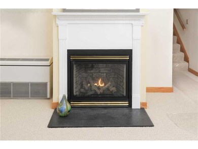 Other. Gorgeous gas fireplace!