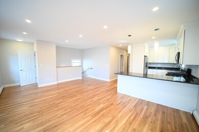 19 Roberts St unit 3, Brookline, MA 02445 - photo 3