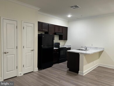 1812 Main St unit 202, Chester, MD 21619 - photo 4