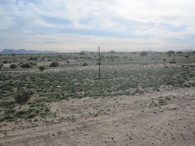 000 W Ellis Rd unit 8,9,12, Eloy, AZ 85131 - photo 2