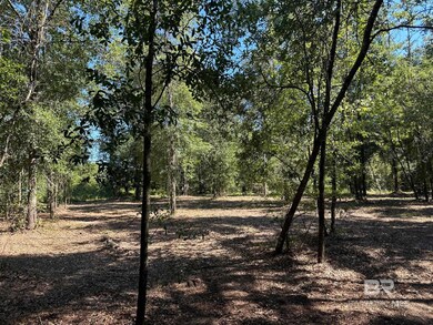 0 Newman Rd unit 3 365680, Mobile, AL 36695 - photo 3