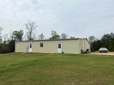 750 Cedar Grove Rd, Climax, GA 39834 - photo 7