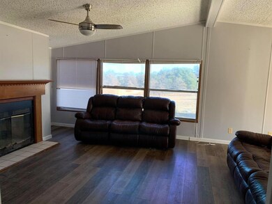 449 Big Salty Dr, Springtown, TX 76082 - photo 3