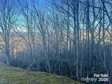 000 Roxworth Ct, Flat Rock, NC 28731 - photo 2