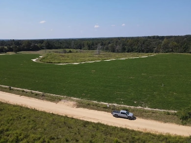 2 Childs Rd, Troy, AL 36081 - photo 5