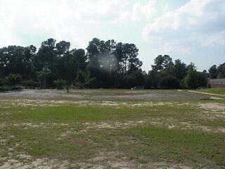 View toward Alice Dr