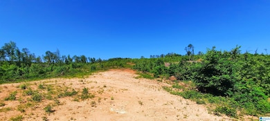 0 Laska Dr unit 20 acres 21420427, Wedowee, AL 36278 - photo 7