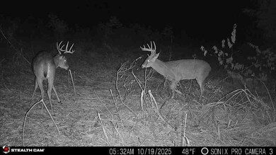 Beautiful wildlife all around