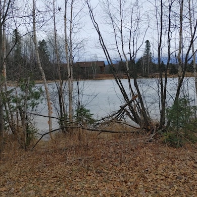 Lot 31 Shady Knoll Rd unit Lot 31, Fifield, WI 54552 - photo 7