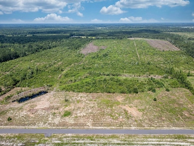 TBD Bellaire Dr unit Lot 2, Nichols, SC 29581 - photo 4