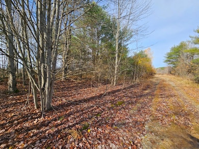 M5, L87-1 Main St, Palmyra, ME 04965 - photo 7