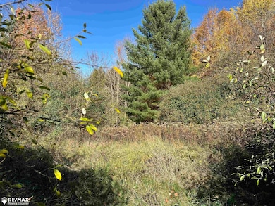 3077 Phelps Lake Rd, Mayville, MI 48744 - photo 6