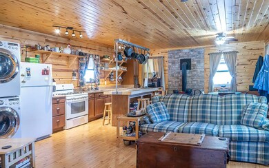 307 Indian Village Rd, Blue Ridge, GA 30513 - photo 4