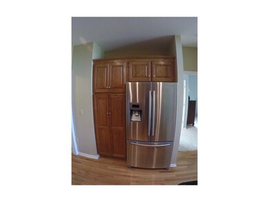 Kitchen Pantry / Fridge