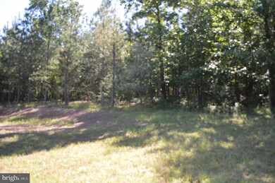 243 Swaim Ln, Berkeley Springs, WV 25411 - photo 6