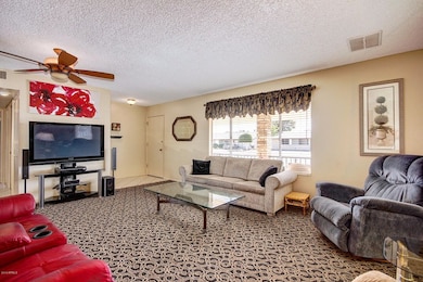 Large Living Room
