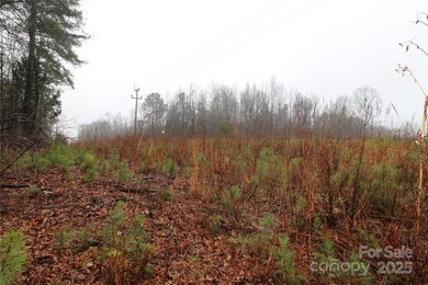 4+/-AC LOT 5 Milo Neal Rd, Kings Mountain, NC 28086 - photo 5