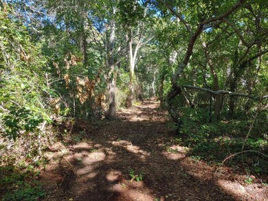 path