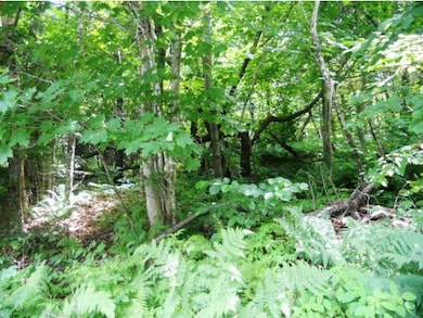 view potential