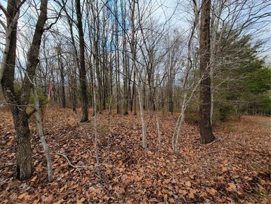 0 Reba Ln unit 1237428, Bella Vista, AR 72715 - photo 4