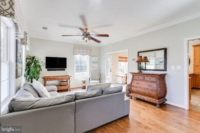 3648 Beach Drive Blvd, Edgewater, MD 21037 - photo 4