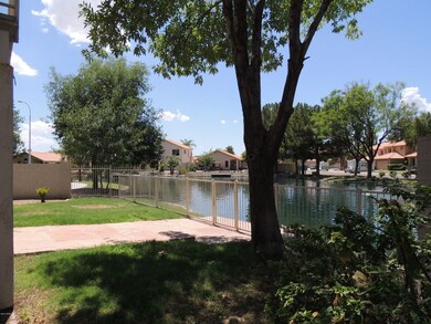 Easy to Manage Back Yard
