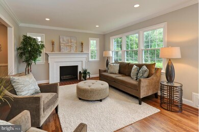 8510 Doyle Dr, Alexandria, VA 22308 - photo 4