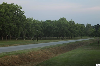 202 Aidan Ln, Sterlington, LA 71203 - photo 3