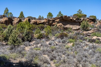 19309 Buck Canyon Rd, Bend, OR 97702 - photo 6