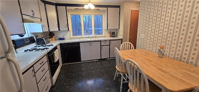 704 Rumson Rd, Rochester, NY 14616 - photo 4