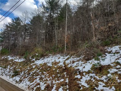 lot 17 Merrell Rd unit 17, Leicester, NC 28748 - photo 7