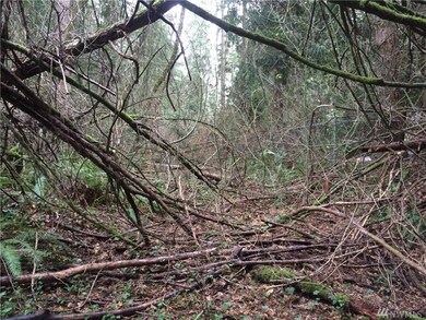 0 W Lake Ketchum Rd unit 879603, Stanwood, WA 98292 - photo 3