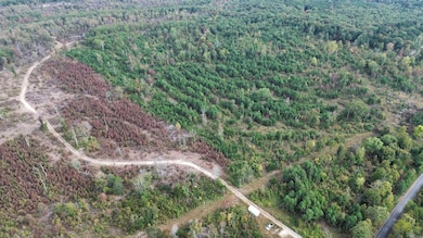 5000 Shady Grove Rd, Shirley, AR 72153 - photo 6