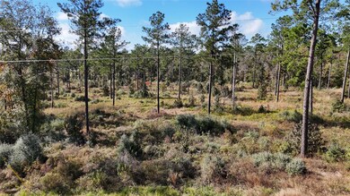 TBD 7 Reveille Rd, Livingston, TX 77351 - photo 5