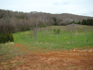 42.37 ac Cherry Creek Rd, Cookeville, TN 38506 - photo 7