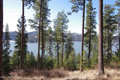 Lot45 Blk3 Promontory, Harrison, ID 83833 - photo 4