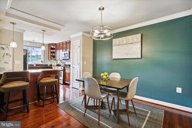 4191 S Four Mile Run Dr unit 202, Arlington, VA 22204 - photo 3