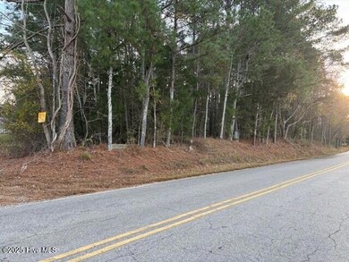 7057 Wiggins Mill Rd, Lucama, NC 27851 - photo 4