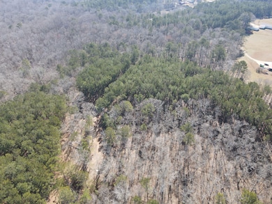 1430 Cleveland Farms Rd, Locust Grove, GA 30248 - photo 5