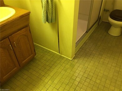 Lower level bathroom