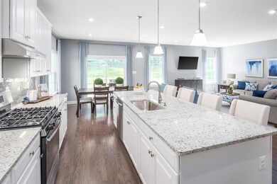 Need to be in the kitchen but want to spend time with the crowd? The cook can easily still be a part of the party with this kitchen!!!