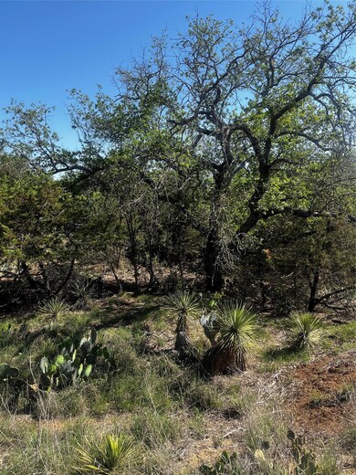 View of local wilderness
