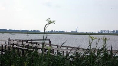 Lot 16 Oyster Cove Ln unit 16, Atlantic, VA 23303 - photo 6