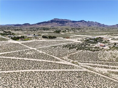 1310 W Scales Way, Pahrump, NV 89060 - photo 6